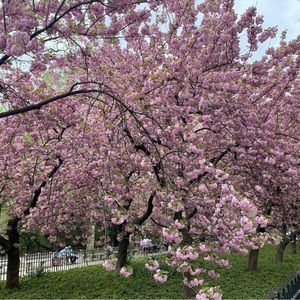 Meet your Posher, Ilicia